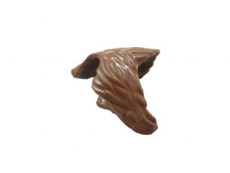 Löwenmähne Löwenmähne