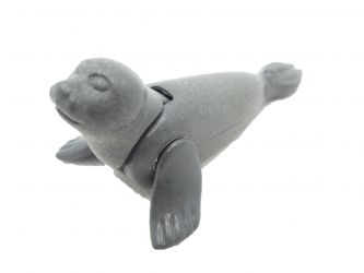 Seelöwe Robbe Seelöwe Robbe