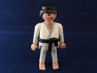 Karatekämpfer Karatekämpfer