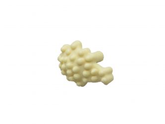 Blüte Beeren Dolde Blüte Beeren Dolde