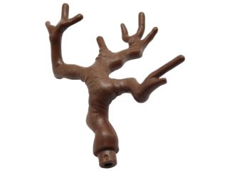 Ast Geäst Baum Stamm Ast Geäst Baum Stamm