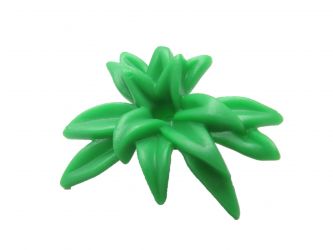 Grünpflanze Grünpflanze