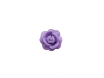Rose offen Rose offen