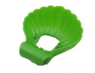 Muschel Meerkutsche Muschel Meerkutsche