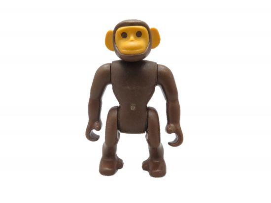 Schimpanse Schimpanse