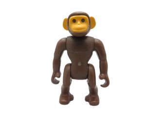 Schimpanse Schimpanse