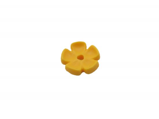 Blüte Blüte