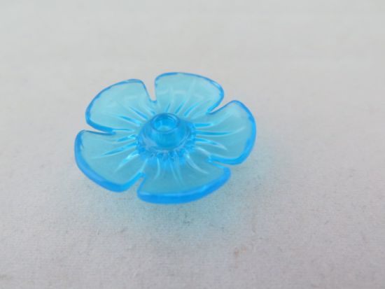 Halter Blüte Halter Blüte