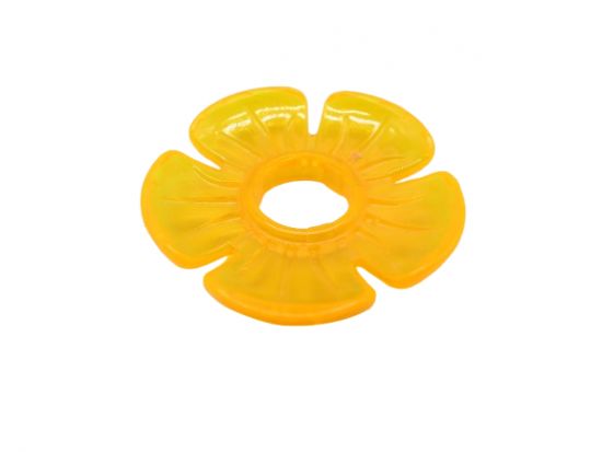 Blüte Einhorn Kutsche Blüte Einhorn Kutsche