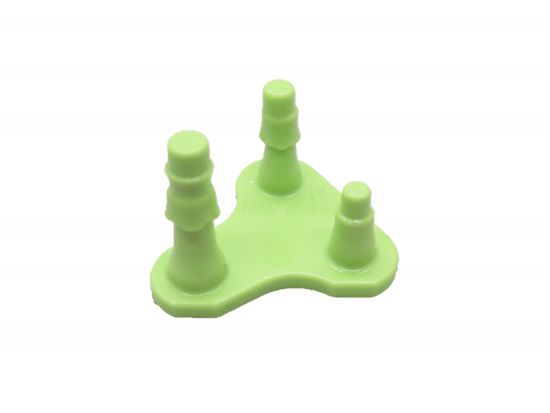 Fliegenpilz Stiel Fliegenpilz Stiel