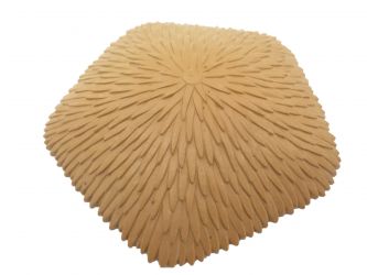 Strohdach Hütte Strohdach Hütte