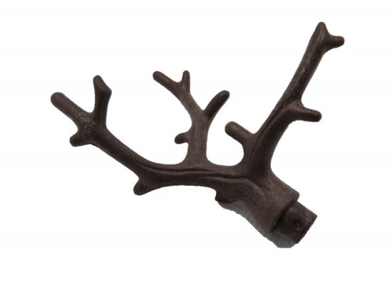 Baumstamm Äste Baumstamm Äste