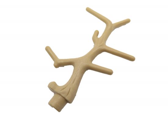 Baum Ast Äste Baum Ast Äste