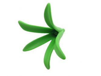 Pflanze Agarve Pflanze Agarve