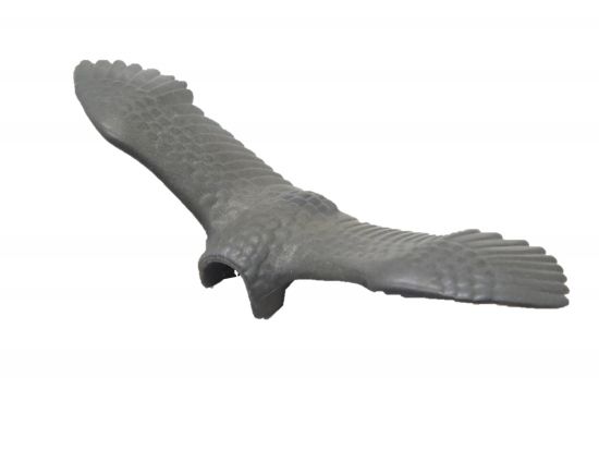 Geier Flügel Geier Flügel