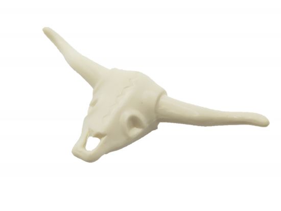 Skelettkopf Skelettkopf