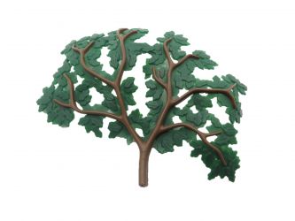 Blätter Eiche Blätter Eiche