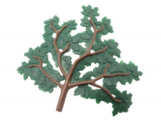 Ast Eiche Blätter Ast Eiche Blätter