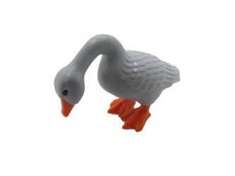 Gans pickend Gans pickend