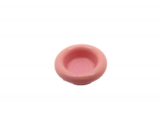 Hundenapf Schale Hundenapf Schale