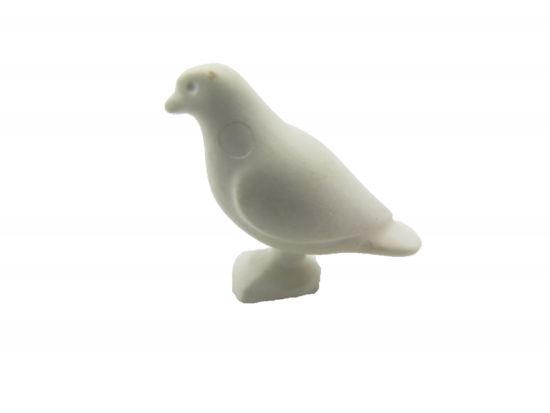 Taube stehend Taube stehend