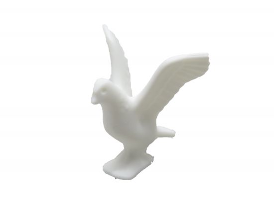 Taube fliegend Taube fliegend