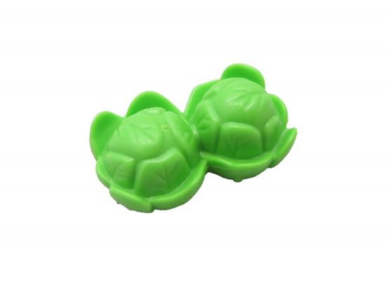 Salat Salatkopf Salat Salatkopf