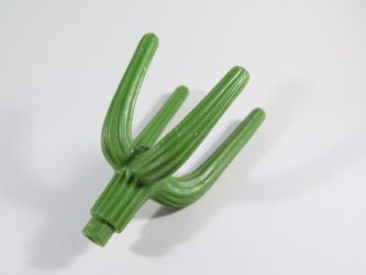 Kaktus Arme Kaktus Arme