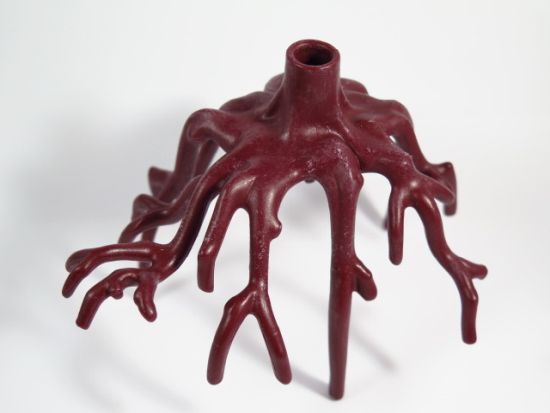 Wurzel Baum Trauerweide Wurzel Baum Trauerweide