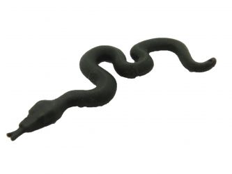 Schlange Viper Schlange Viper