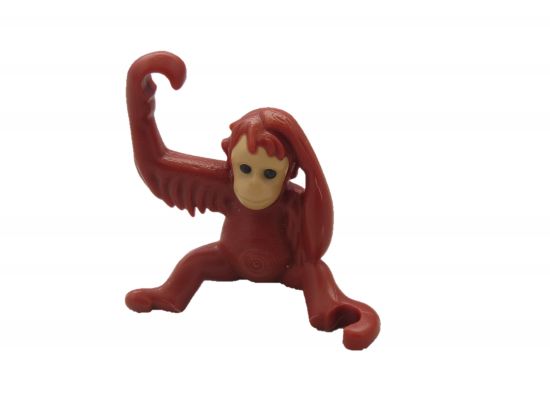 Orang Utan Baby Orang Utan Baby