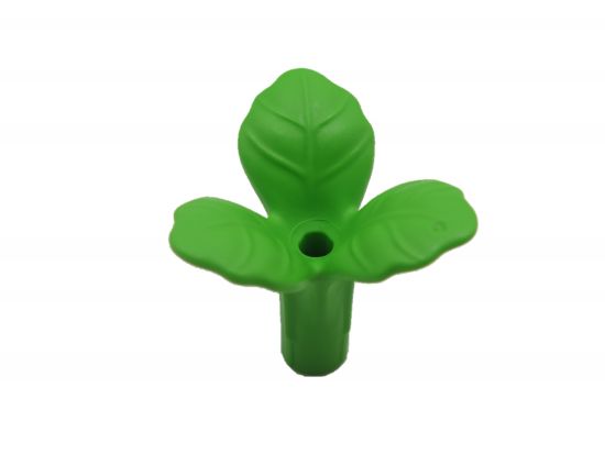 Pflanze 3 blättrig Pflanze 3 blättrig