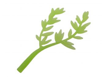 Weidenast Weidenblätter Weidenast Weidenblätter