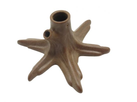 Baumstumpf Baumstumpf