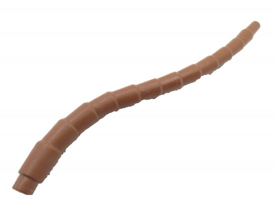Palmenstamm Palmenstamm