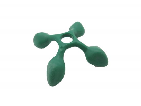 Kokosnuss Palme Kokosnuss Palme