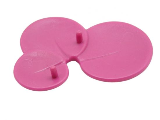 Blatt Seerose Blatt Seerose