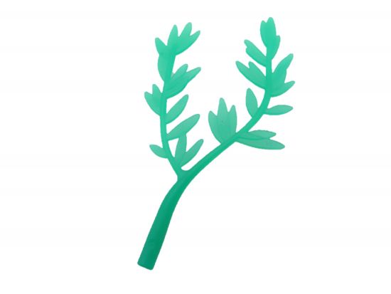 Weidenast Weidenblätter Weidenast Weidenblätter