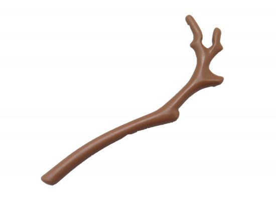 Ast Baum Feuer Ast Baum Feuer