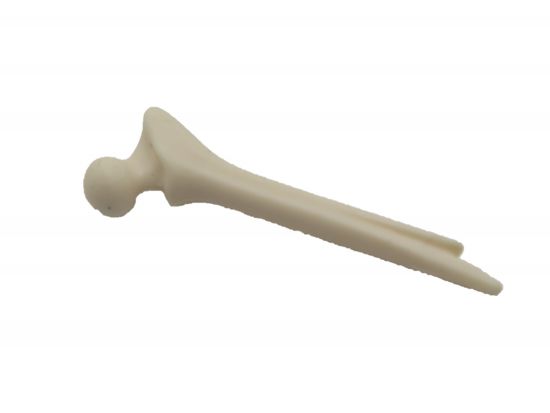 Knochen Kugelgelenk Knochen Kugelgelenk