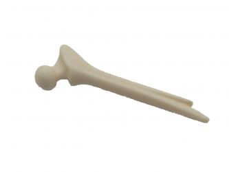 Knochen Kugelgelenk Knochen Kugelgelenk