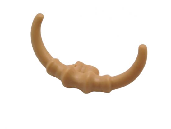 Horn Hörner Schädelknochen Horn Hörner Schädelknochen