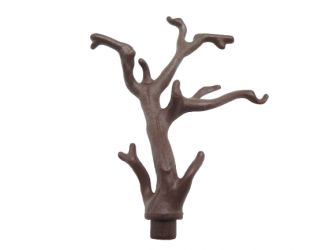 Baum Geäst Ast Baum Geäst Ast