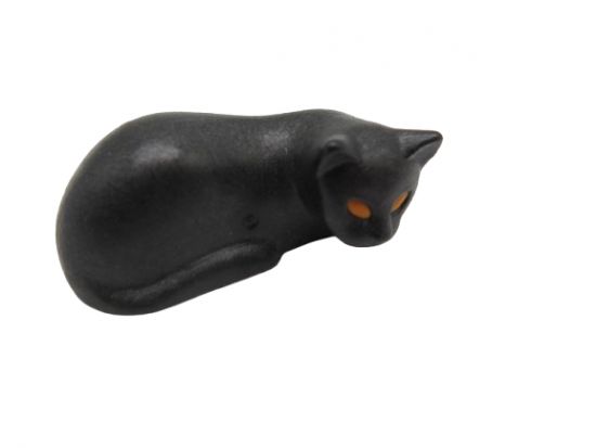 Katze schlafend Katze schlafend