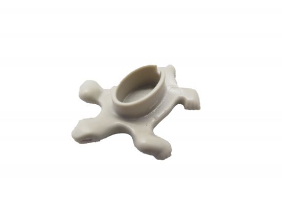 Schildkröte Schildkröte