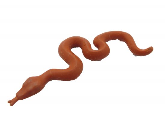 Schlange Viper Schlange Viper