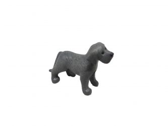 Hund Welpe Hund Welpe