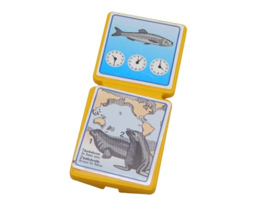 Schild rechteckig Schild rechteckig