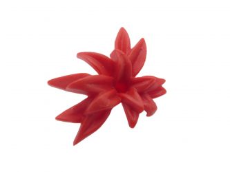 Strauch Busch Blätter Strauch Busch Blätter