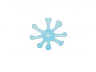 Sonnentau Blüte Blume Sonnentau Blüte Blume